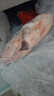 鮮活沖浪河鱸魚(yú)400-500g/條 曬單實(shí)拍圖
