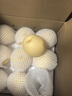 京鮮生 河北辛集白玉皇冠梨 凈重4.5斤 單果230g+  生鮮水果 源頭直發(fā) 曬單實拍圖