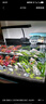 尼奧光 NEO-HELIOS魚缸燈水草燈LED燈S3proRGB植物光譜 13W尼奧S3plus【適用30-40魚缸】 曬單實拍圖