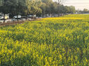 納麗德（NEXTORCH）TA30C MAX強光戰術(shù)手電筒3000流明高亮戶(hù)外防身應急照明手電筒 曬單實(shí)拍圖