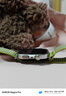 HUAWEI WATCH FIT 4 Pro 原野綠編織表帶華為智能手表鈦金屬藍(lán)寶石玻璃大屏藍(lán)牙通話fit4pro 曬單實(shí)拍圖