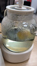 創(chuàng)維（Skyworth）【政府補貼】0膠水全玻璃養(yǎng)生壺1L帶濾網(wǎng) 辦公室多功能煮茶壺?zé)畨卣{(diào)奶器恒溫電熱水壺花茶壺S236 曬單實拍圖