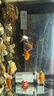 亞峰（yafeng）魚(yú)缸過(guò)濾器三合一凈水循環(huán)泵魚(yú)缸內置過(guò)濾器過(guò)濾水泵小型增氧設備 6W 五合一 （20-30CM缸用） 曬單實(shí)拍圖