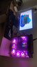 華碩（ASUS）RTX5080主機RTX5070Ti/5090D主機i9 14900KF U7 265K rog全家桶黑神話游戲主機臺式組裝機電腦整機 U7 265KF+華碩RTX5080 丨七 曬單實拍圖