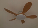 TCL全光譜護眼風(fēng)扇燈客廳吊扇燈餐廳燈風(fēng)扇一體電風(fēng)扇吊燈 吸頂原木色-46寸五葉-變頻-遙控 曬單實(shí)拍圖
