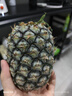 特價金鉆鳳梨新鮮大果菠蘿整箱水果風(fēng)梨手撕現(xiàn)貨直發(fā)脆甜多汁鳳梨 1個裝小果 單果400g起 曬單實拍圖