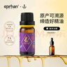 伊帕爾汗薰衣草精油單方精油保濕護膚面部按摩油身體按摩油 薰衣草精油10ml  單方 曬單實(shí)拍圖