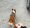 麥富迪狗糧 無谷牛肉雙拼狗糧成犬小型犬比熊貴賓緩解淚痕 10kg/20斤 曬單實(shí)拍圖