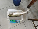 沃鼎王者神劍三代釣魚(yú)竿碳纖維超輕鯽魚(yú)竿大物竿魚(yú)桿臺釣竿5.4米 5.5H 曬單實(shí)拍圖