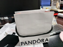 潘多拉（PANDORA）雪映玫瑰耳釘白色優(yōu)雅高級(jí)時(shí)尚小眾設(shè)計(jì)感教師節(jié)禮物 1-均碼 293209C01 均碼 曬單實(shí)拍圖