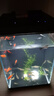 米家智能桌面魚缸小米生態(tài)魚缸小型智能專業(yè)背濾一體缸自循環(huán) 曬單實(shí)拍圖