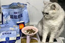 LEGENDSANDY藍氏超能奶盾全價(jià)鮮肉低溫烘焙乳酸菌幼成貓糧乳鴿1.8kg 曬單實(shí)拍圖