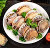 優(yōu)牧冠 冷凍大鮑魚(yú) 10頭鮑 9分熟凍鎖鮮 生鮮夜宵燒烤食材1袋500g 【三去免處理】10只裝*1袋 曬單實(shí)拍圖