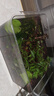 飛達三和家用小魚(yú)缸方形客廳小金魚(yú)烏龜飼養缸仿玻璃塑料小型桌面生態(tài)缸 巨無(wú)霸-魚(yú)缸烏龜缸【超清8K高透】帶提手 曬單實(shí)拍圖