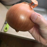 京喜加買菜新鮮黃洋蔥水果蔬菜調(diào)料洋蔥 【嘗鮮】 500g 含箱 曬單實(shí)拍圖