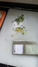 冇覓優(yōu)品切菜板家用砧板抗菌案板防霉食品級pe切水果粘板雙面切肉剁骨板 曬單實(shí)拍圖