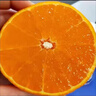 菲農禮盒順豐 美國黑標新奇士橙進(jìn)口橙子新鮮水果奇士夏血臍當季整箱 4斤 | 順豐秒發(fā) 80mm（含）-85mm(不含) 曬單實(shí)拍圖
