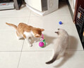 阿莫爾貓咪玩具不倒翁老鼠逗貓棒貓咪自嗨解悶神器幼貓耐抓耐咬消耗體力 1個(gè)老鼠不倒翁 曬單實(shí)拍圖
