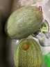 現貨正宗保甜當季新鮮水果脆甜曉蜜哈密瓜 精選2-3斤（1顆裝） 曬單實(shí)拍圖