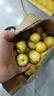 廣西欽蜜9號黃金百香果孕婦水果新鮮百香果醬純原漿整箱包郵5斤 30顆裝 曬單實(shí)拍圖