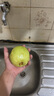 黃金奶油芭樂軟糯番石榴新鮮水果低卡輕食 5斤（凈重） 曬單實拍圖