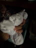 北極絨兒童襪子夏季薄款純棉100%防臭3-6-12歲男女童中長筒學(xué)生運動白襪 曬單實拍圖