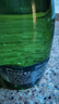Perrier巴黎水 原裝進(jìn)口氣泡水 0糖0卡原味天然礦泉水330ml*24瓶 曬單實(shí)拍圖