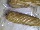 東北黃糯玉米 早餐主食代餐粘苞米棒 單棒均重180g加熱即食一整箱 黃糯180g*10棒 曬單實(shí)拍圖