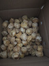 東北姑娘果新鮮當季水果黃菇娘燈籠果酸甜可口甜菇娘特產(chǎn)京東包郵 【帶箱1斤】東北姑娘果 曬單實(shí)拍圖