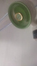 創(chuàng)維冰島壁掛式循環(huán)扇風(fēng)扇家用客廳臥室廚房璧掛扇雙重抗菌智能語音空氣凈化扇電風(fēng)扇Q531 抹茶綠 曬單實拍圖