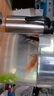 AIPHAROW金魚(yú)活體觀(guān)賞魚(yú)活體小金魚(yú)冷水魚(yú)金魚(yú)苗活體淡水國粹金魚(yú)寵物魚(yú) 3-5CM金魚(yú)隨機5條 曬單實(shí)拍圖