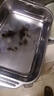 【爆款好物】不銹鋼烤魚盤烤面包盤子燒烤小龍蝦盤干鍋長方形盤 大號深款 曬單實拍圖