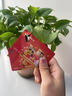 【電子卡】鯨禧禮卡（商城純享）1000元貓眼電影美團福利可開(kāi)票 曬單實(shí)拍圖