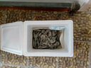 蝦有蝦途國產(chǎn)青島大蝦白蝦青蝦基圍蝦鮮蝦冷凍生鮮蝦類(lèi)鮮活特大海捕整箱裝 14-16厘米 3斤(凈重) 曬單實(shí)拍圖