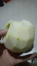 現摘老樹(shù)頭茬新鮮脆甜多汁碭山梨安徽碭山特產(chǎn)碭山酥梨新緣新1 精選果帶箱5斤 曬單實(shí)拍圖