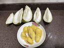 什果樂(lè )貓山王榴蓮（D197）馬來(lái)西亞進(jìn)口帶殼整果液氮冷凍水果禮盒 尊享果4.6-5.1斤（包4-5房） 曬單實(shí)拍圖