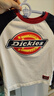 Dickies童裝兒童長袖T恤小童春秋純棉薄款上衣男童秋季插肩衣服女童秋裝 曬單實拍圖