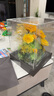 JoyFlower永生花向日葵亞克力擺件生日禮物送女生朋友閨蜜結婚紀念日高級 曬單實(shí)拍圖