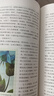 紅星照耀中國 昆蟲記 人教版 語文名著精選套裝 八年級上 曬單實拍圖