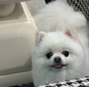 AOEO臻顏舒護(hù)修護(hù)精華面膜補(bǔ)水保濕舒緩?fù)磕婺?0g*2 曬單實(shí)拍圖