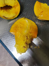 【新鮮上市】正宗攀枝花凱特芒果新鮮水果 帶箱6斤【單果400g以上】 曬單實(shí)拍圖