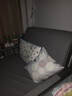 葵竹冉韻折疊沙發(fā)床一體兩用小戶(hù)型伸縮床陽(yáng)臺多功能床貓抓皮客廳折疊床 太空灰+黑架 【1.08m儲物款】5cm海綿+2cm乳膠 曬單實(shí)拍圖