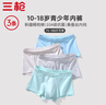 三槍【純棉10A抗菌】男生青少年內褲男A類(lèi)嬰童面料不夾臀發(fā)育期3條裝 曬單實(shí)拍圖