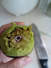 山姆大叔 金獎·哈斯牛油果云南孟連【閃送】當季鱷梨非即食新鮮水果禮盒 【80%選擇】精品果丨約100-130g 10枚【全家分享-蕞劃算】普裝 曬單實(shí)拍圖
