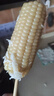 長(cháng)白山糖心玉米東北甜糯玉米棒粗糧蒸煮甜糯玉米黏苞米營(yíng)養早餐 10棒（300g左右/棒）彩箱裝 曬單實(shí)拍圖