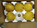 京鮮生山東煙臺紅富士蘋果 5斤裝單果75-80mm生鮮水果 源頭直發(fā) 包郵 曬單實拍圖