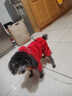 灌湘鳥(niǎo)狗狗羽絨棉服四腳寵物衣服秋冬款加厚保暖小鹿犬小型犬小狗絨棉衣 紅色【運動(dòng)】 XL【建議9-12斤】 曬單實(shí)拍圖