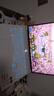 聯(lián)想拯救者R9000P 2025 AI元啟游戲筆記本電腦(銳龍9 8945HX 32G1T RTX5070 2.5K240Hz 白)國家補貼20% 曬單實拍圖