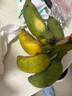 廣西小米蕉當季水果小雞米蕉新鮮自然熟香蕉產(chǎn)地直銷(xiāo)蘭和 1斤裝 曬單實(shí)拍圖