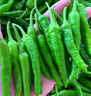 果小云樟樹(shù)港辣椒新鮮蔬菜薄皮嫩青椒湖南岳陽(yáng)下飯菜正宗旗艦店整箱順豐 2斤【順豐包郵】 曬單實(shí)拍圖